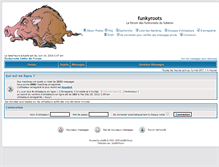 Tablet Screenshot of funkyroots.fr